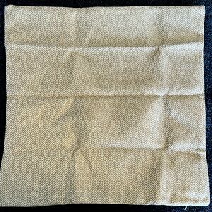 Couch pillow covers (2)